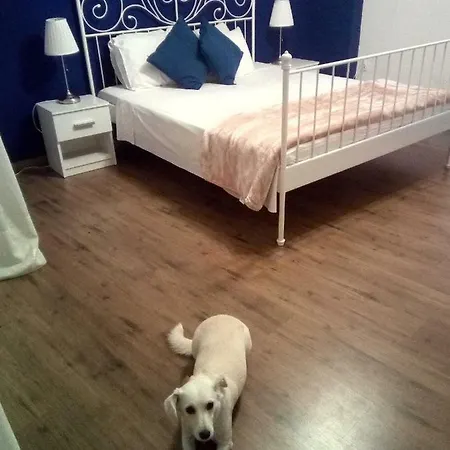Lemon's House *